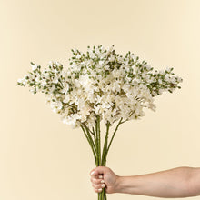 Load image into Gallery viewer, Delphinium Spray
