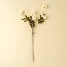 Load image into Gallery viewer, Pom Pom Spray
