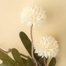 Load image into Gallery viewer, Pom Pom Spray
