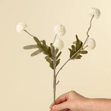 Load image into Gallery viewer, Pom Pom Spray
