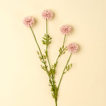 Load image into Gallery viewer, Mini Chrysanthemum Pink
