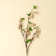 Load image into Gallery viewer, Wild Apple Berry Spray
