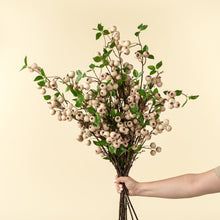 Load image into Gallery viewer, Wild Apple Berry Spray
