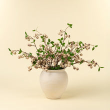 Load image into Gallery viewer, Wild Apple Berry Spray
