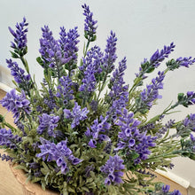 Load image into Gallery viewer, Lavender Bush
