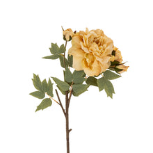 Load image into Gallery viewer, Soft Butter Peony Stem
