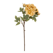 Load image into Gallery viewer, Soft Butter Peony Stem
