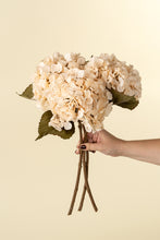 Load image into Gallery viewer, Cream Hydrangea Stem
