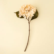Load image into Gallery viewer, Cream Hydrangea Stem
