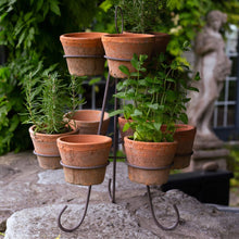 Load image into Gallery viewer, Two Tiered Stand with Terracotta Pots

