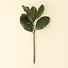 Load image into Gallery viewer, Magnolia Stem
