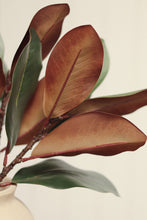 Load image into Gallery viewer, Magnolia Stem
