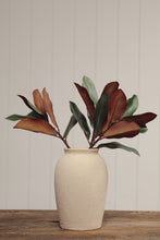 Load image into Gallery viewer, Magnolia Stem
