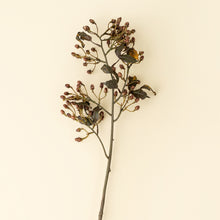 Load image into Gallery viewer, Hypericum Spray
