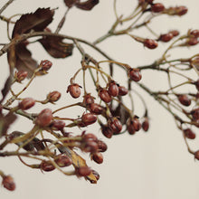 Load image into Gallery viewer, Hypericum Spray
