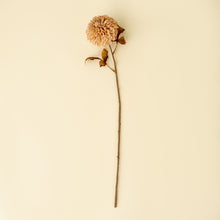 Load image into Gallery viewer, Cream Pompom Dahlia
