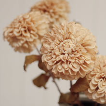 Load image into Gallery viewer, Cream Pompom Dahlia
