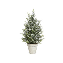 Load image into Gallery viewer, Snow Fern Tree | Two Sizes
