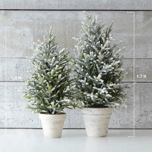 Load image into Gallery viewer, Snow Fern Tree | Two Sizes
