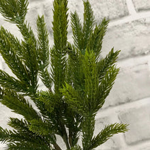 Load image into Gallery viewer, Fresh Touch Spruce 14" Pick
