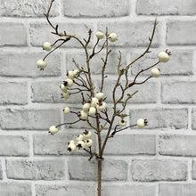 Load image into Gallery viewer, Twiggy Outdoor Berry Spray
