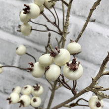 Load image into Gallery viewer, Twiggy Outdoor Berry Spray
