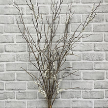 Load image into Gallery viewer, Twig Berry Bundles | Two Colours
