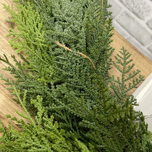 Load image into Gallery viewer, Lush Northern Cedar Garland | 9ft
