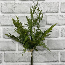 Load image into Gallery viewer, Cypress Spray Bundle
