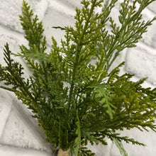 Load image into Gallery viewer, Cypress Spray Bundle

