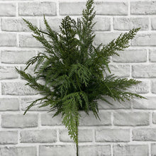 Load image into Gallery viewer, Fresh Touch Cypress Bush
