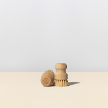 Load image into Gallery viewer, Guests on Earth Dish Brush
