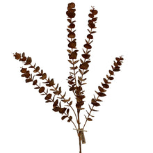 Load image into Gallery viewer, Eucalyptus Branch | Two Colours
