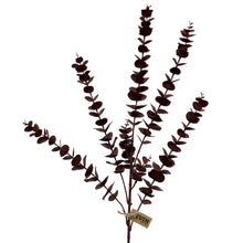 Load image into Gallery viewer, Eucalyptus Branch | Two Colours
