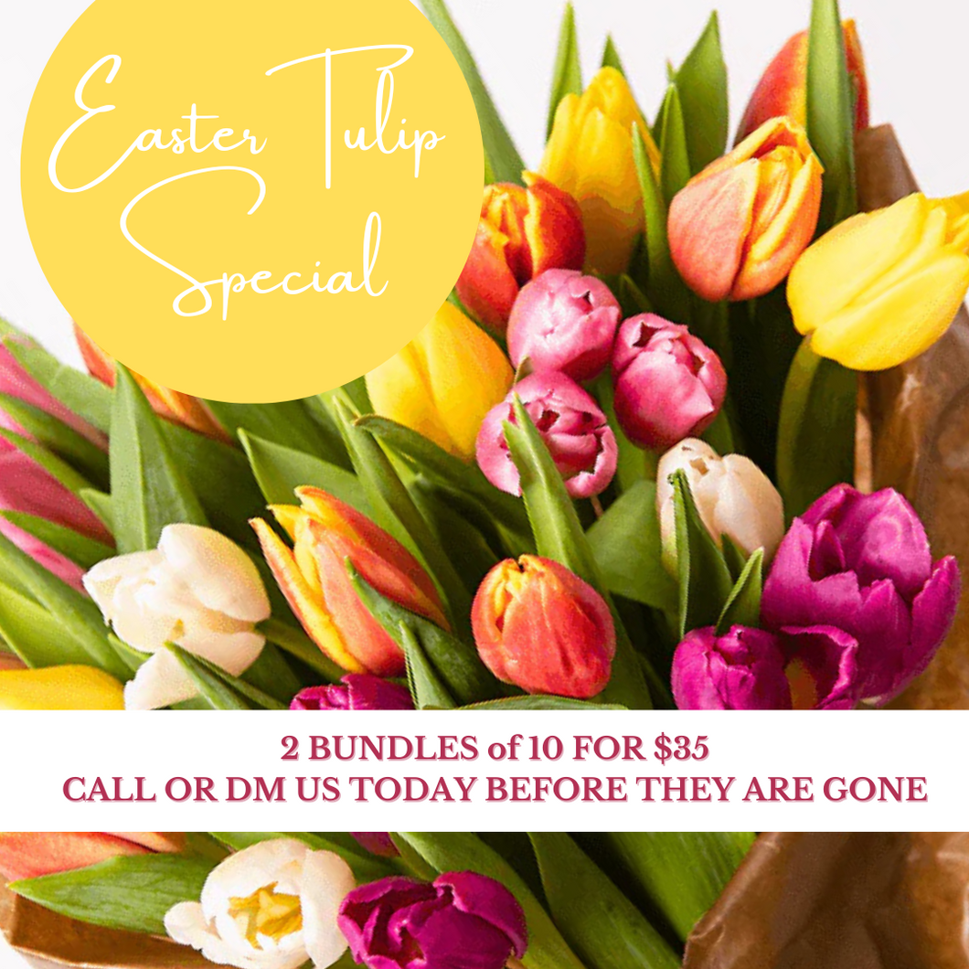Easter Tulip Special - Two Bundles for $35