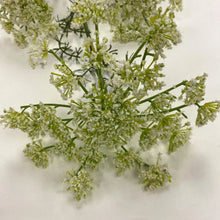Load image into Gallery viewer, Large Queen Anne's Lace Spray

