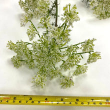 Load image into Gallery viewer, Large Queen Anne's Lace Spray
