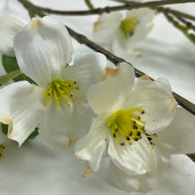 Load image into Gallery viewer, Cream Dogwood Spray
