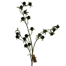 Load image into Gallery viewer, Blackberry Spray
