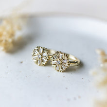 Load image into Gallery viewer, Frosted Studs| Two Finishes
