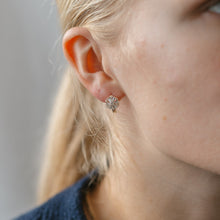 Load image into Gallery viewer, Frosted Studs| Two Finishes
