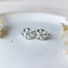 Load image into Gallery viewer, Frosted Studs| Two Finishes
