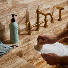 Load image into Gallery viewer, Guests on Earth Dish Soap Starter Kit
