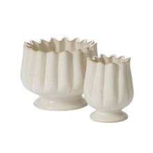 Load image into Gallery viewer, Tulipa Compote | Two Sizes
