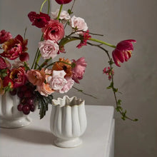 Load image into Gallery viewer, Tulipa Compote | Two Sizes
