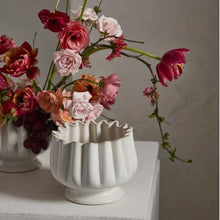 Load image into Gallery viewer, Tulipa Compote | Two Sizes
