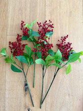 Load image into Gallery viewer, Laurel Leaf Red Berry Stem
