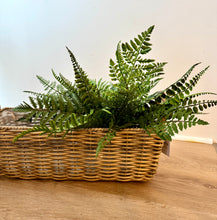 Load image into Gallery viewer, Outdoor Fern Bundle
