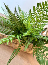 Load image into Gallery viewer, Outdoor Fern Bundle
