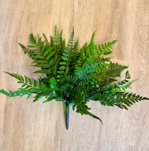 Load image into Gallery viewer, Outdoor Fern Bundle
